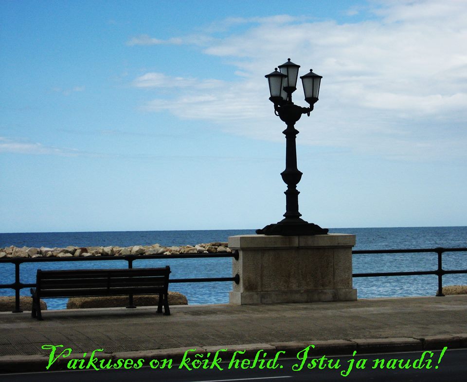 vaikus