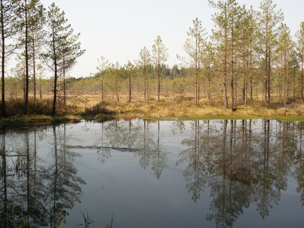 üks Meenikunno soojärvedest