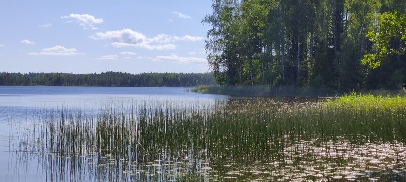 Kurtna järved