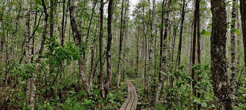 peipsiveere looduskaitseala Peipsi ääres