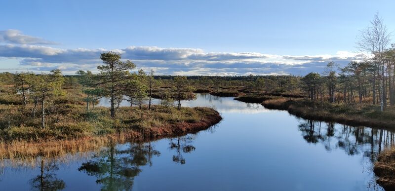 Endla looduskaitseala Männikjärve raba laukad