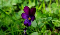 Kuidas liikuv meditatsioon saab olla igapäevaelu loomulik osa