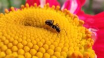 Ma avasin fotogalerii