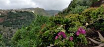 Madeira: mäed ja aiad keset ookeani. 2. osa