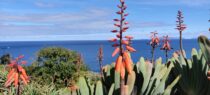 Madeira: Santa Cruz teel lennujaama. 5. osa