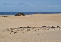 Fuerteventura, aaloed, tuul ja liiv. 5. osa