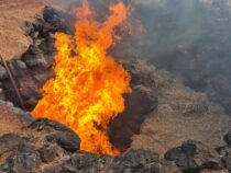 Timanfaya rahvuspark, koopad ja kaktused. 3. osa