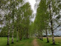 Ravipaast Loodus BioSpas – keha ja hinge nauding